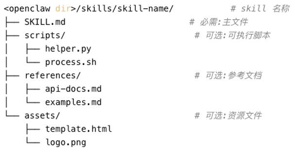 Figure 7: Contents of a Skill